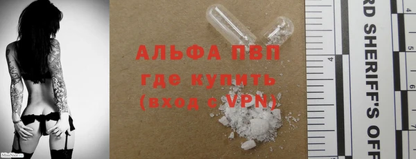 сатива Белокуриха