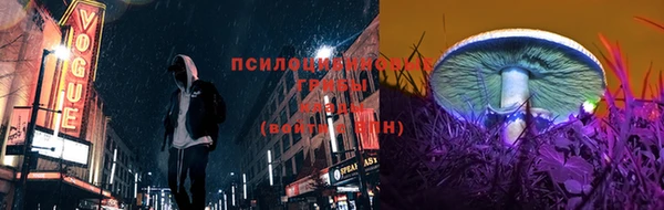 сатива Белокуриха