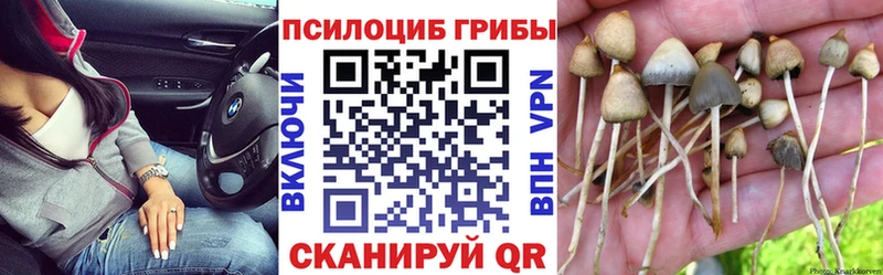 mega зеркало где найти наркотики Сердобск Галлюциногенные грибы мухоморы